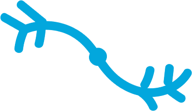 Upper Fold - Stem